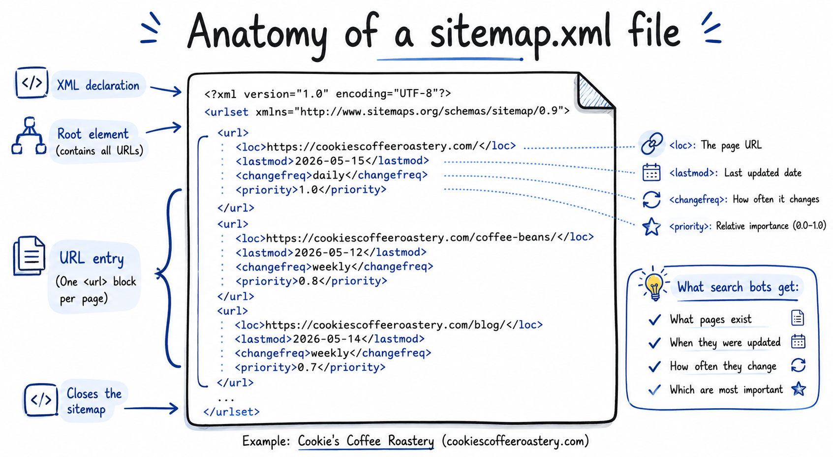 Doodle teaching diagram titled Anatomy of a sitemap.xml file showing Cookie's Coffee Roastery example with annotated XML elements urlset, url, loc, lastmod, changefreq, priority, and a side panel titled What search bots get listing what pages exist, when they changed, how often they change, which are most important